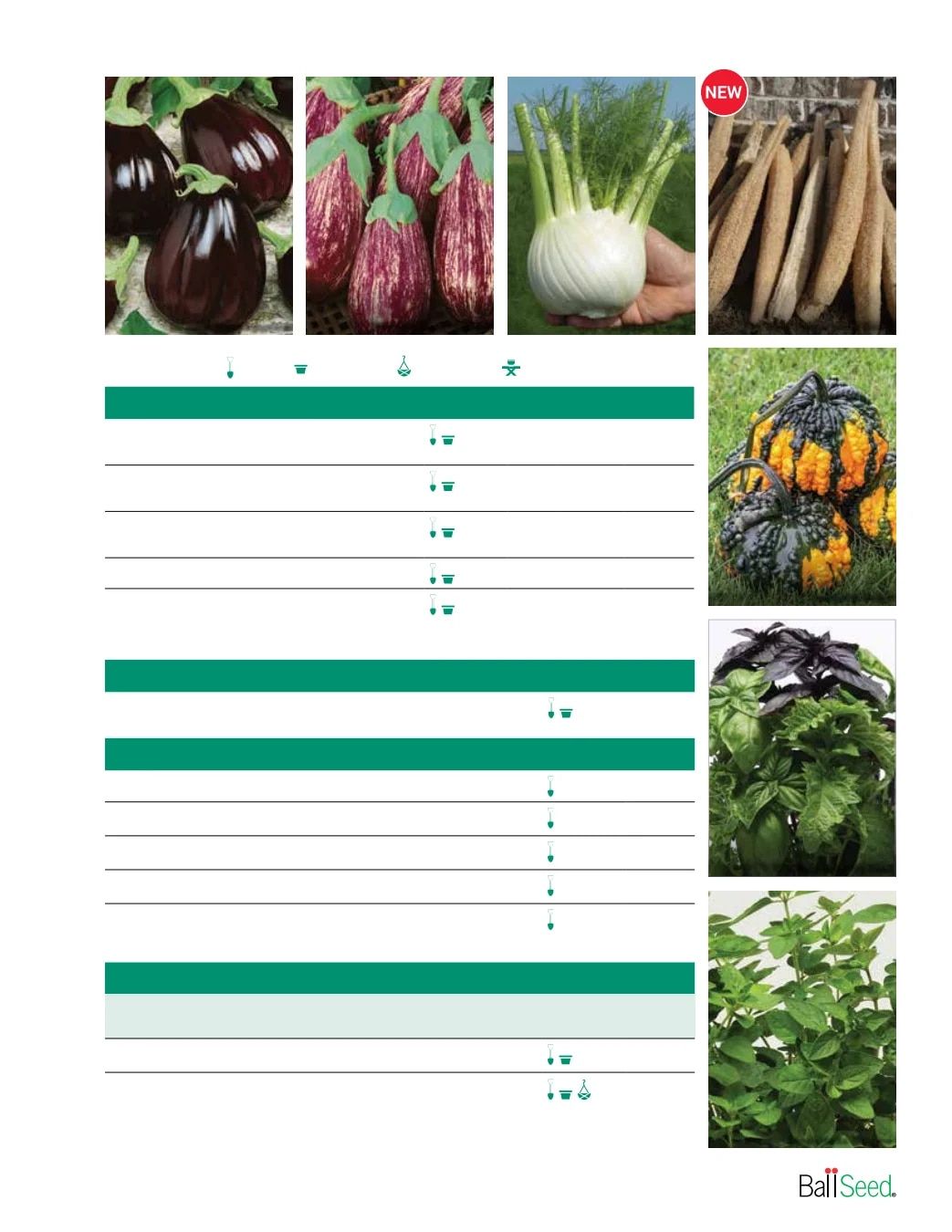 Ball Seed Seed and Plugs Catalog Weekly Ad August 31, 2026 - December 31, 2028