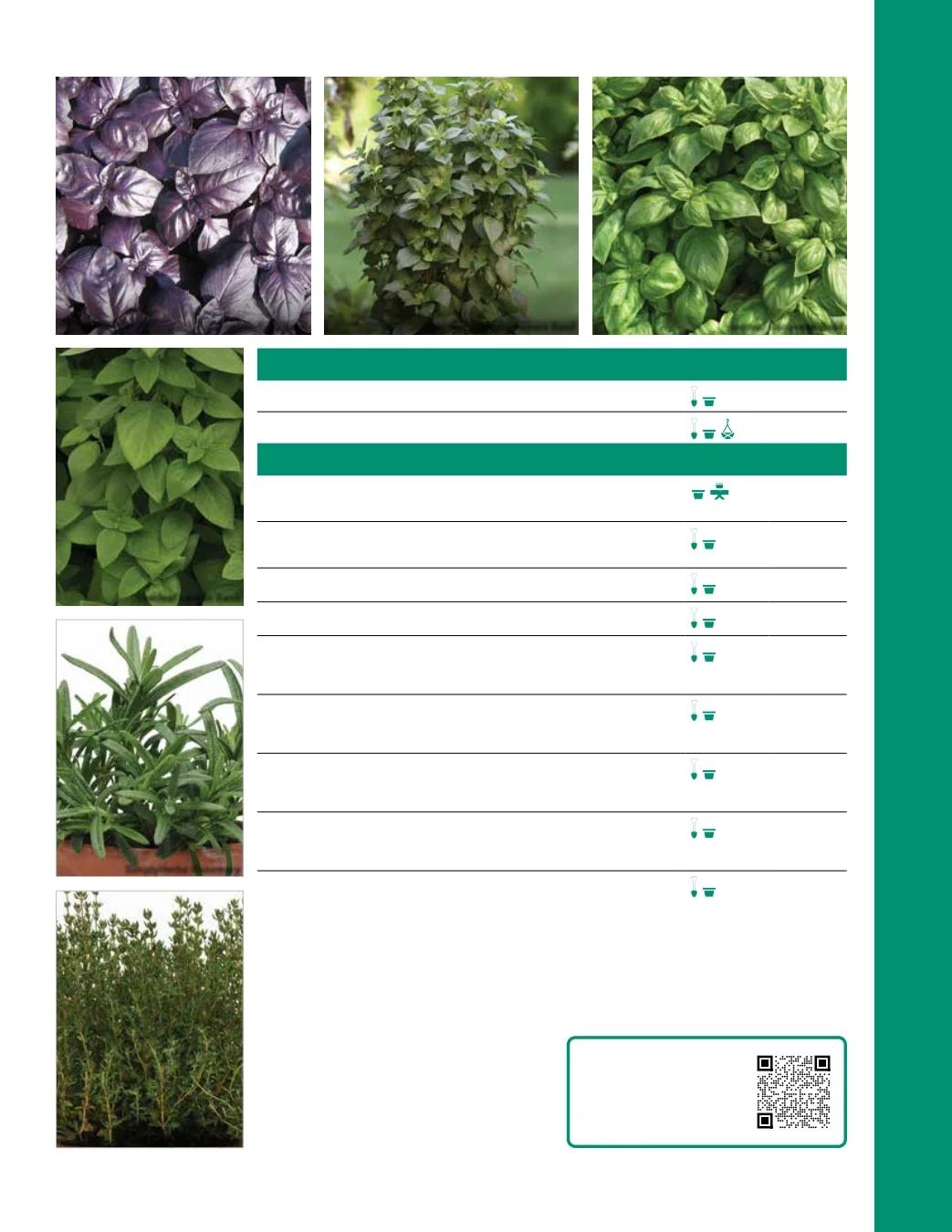 Ball Seed Seed and Plugs Catalog Weekly Ad August 31, 2026 - December 31, 2028