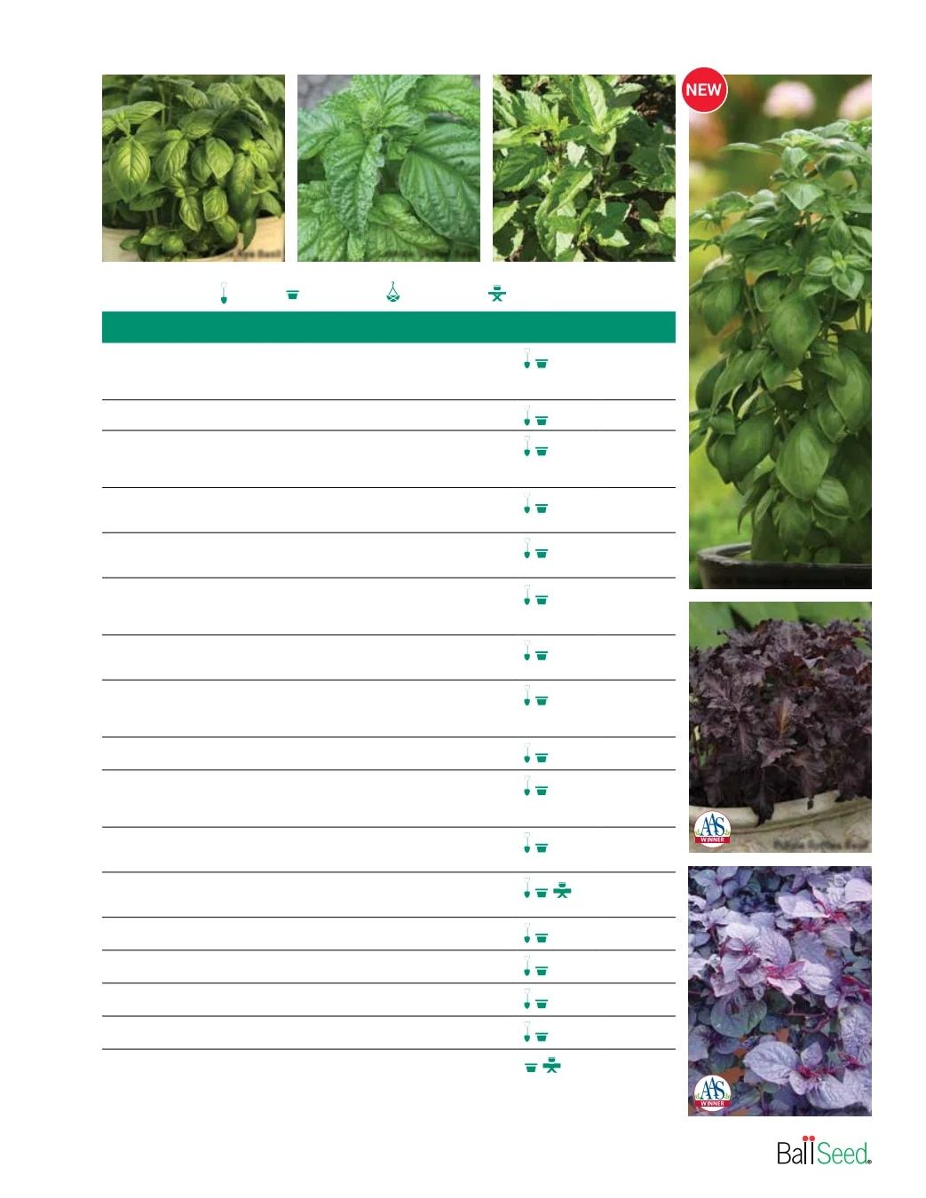 Ball Seed Seed and Plugs Catalog Weekly Ad August 31, 2026 - December 31, 2028