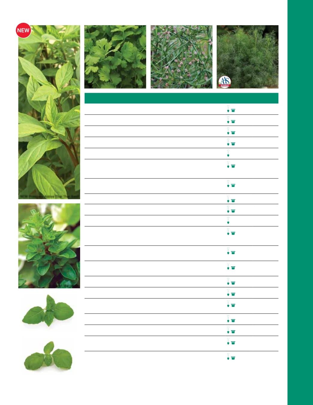 Ball Seed Seed and Plugs Catalog Weekly Ad August 31, 2026 - December 31, 2028