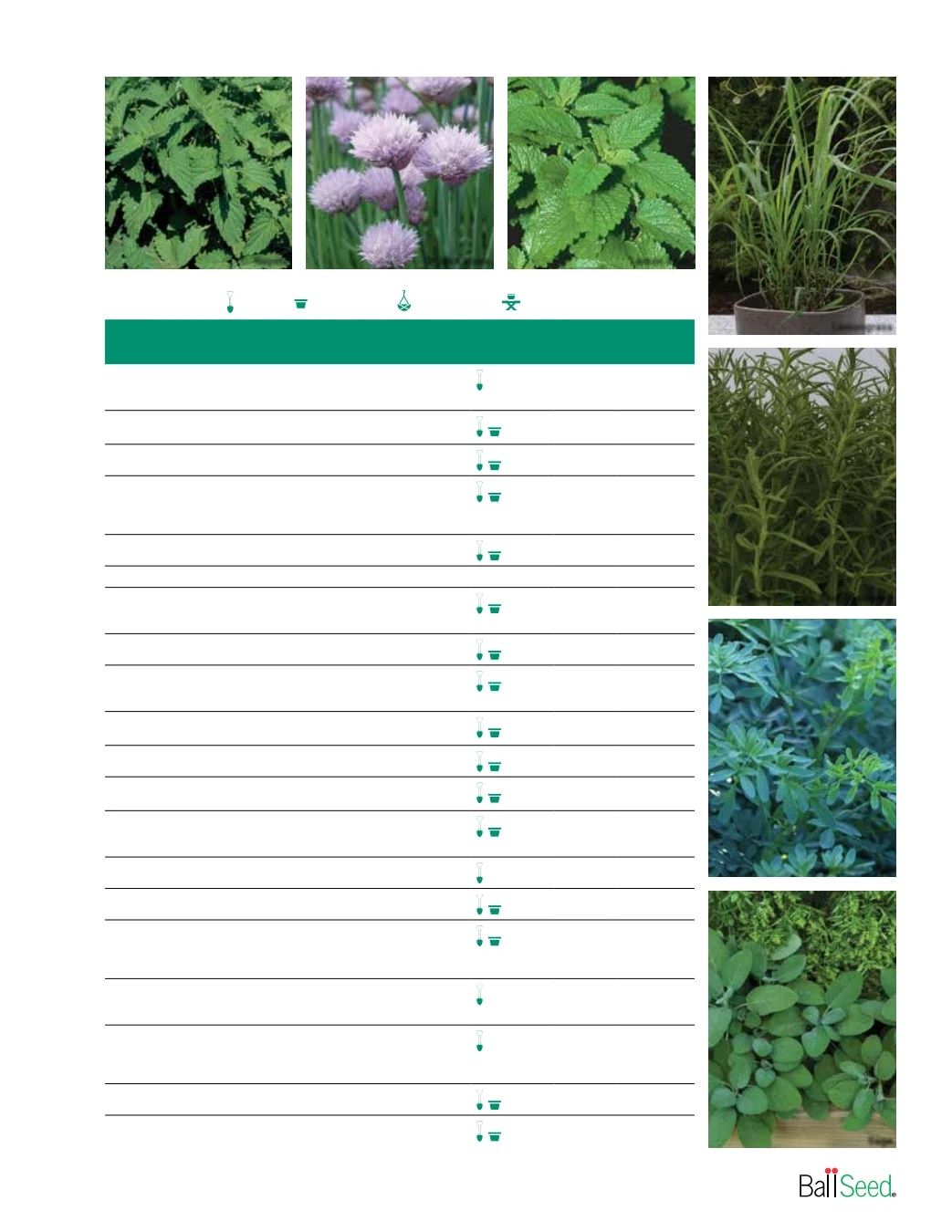 Ball Seed Seed and Plugs Catalog Weekly Ad August 31, 2026 - December 31, 2028