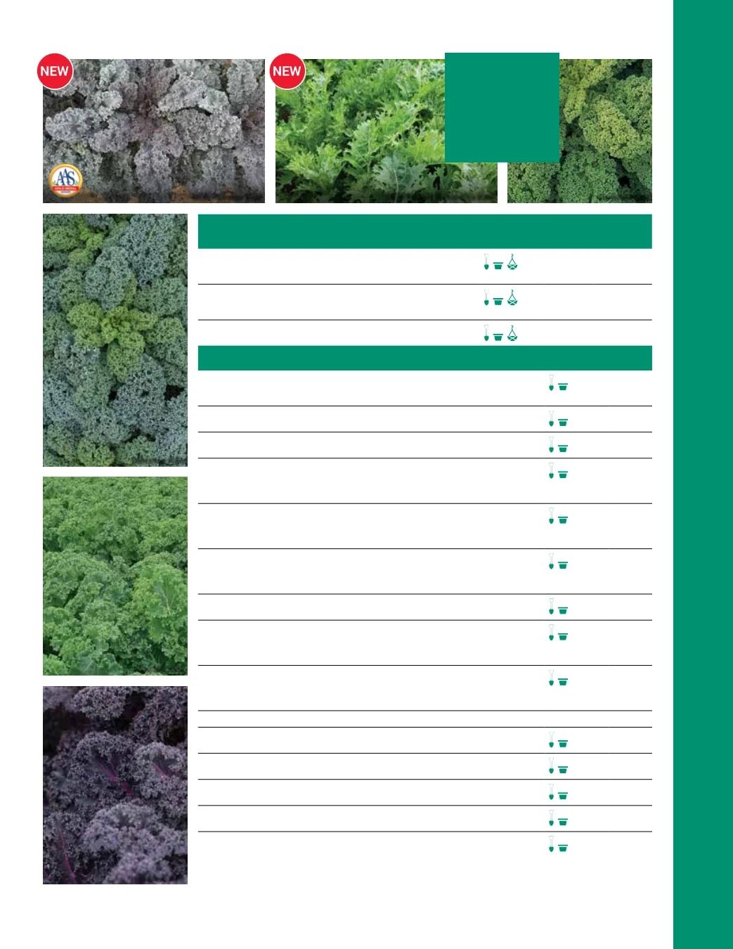 Ball Seed Seed and Plugs Catalog Weekly Ad August 31, 2026 - December 31, 2028