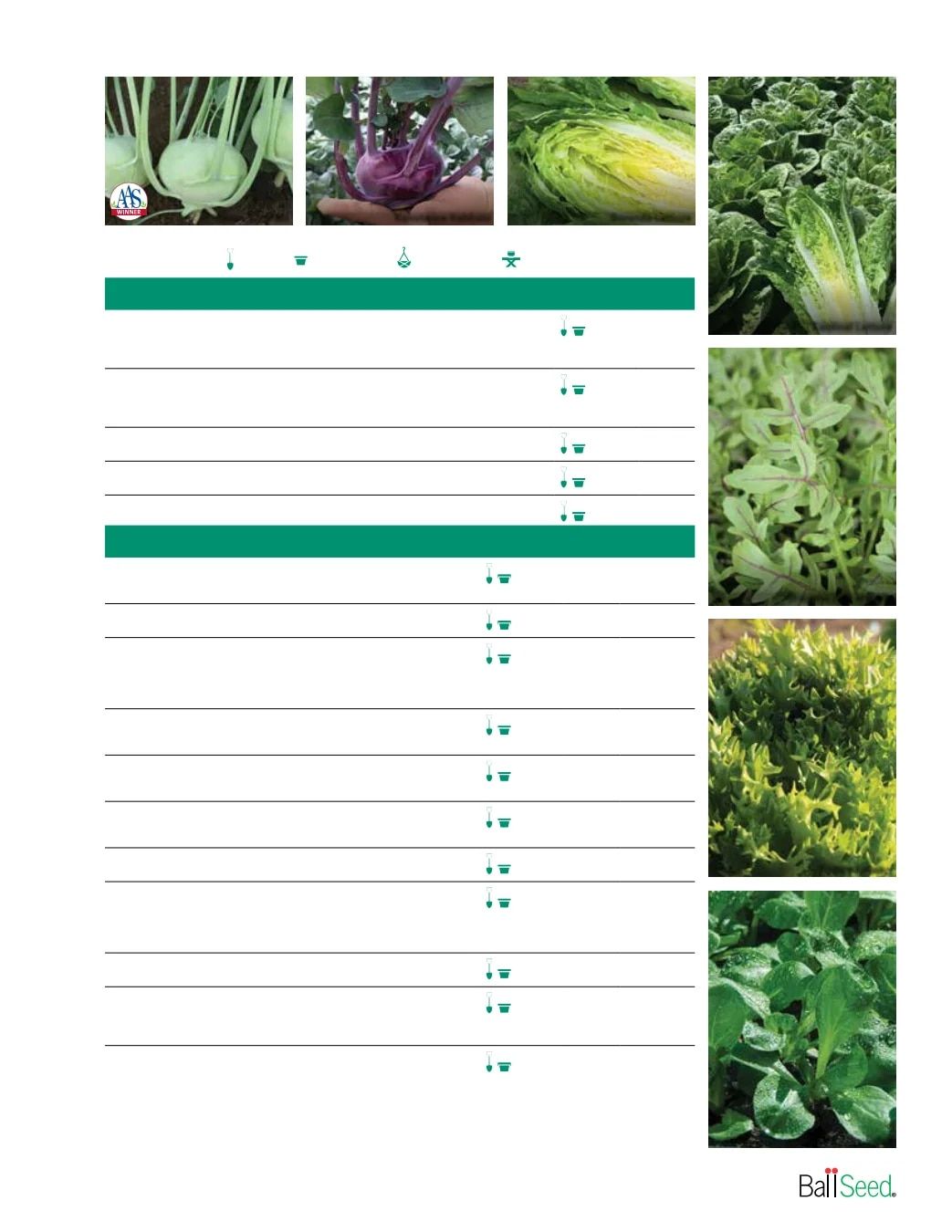 Ball Seed Seed and Plugs Catalog Weekly Ad August 31, 2026 - December 31, 2028