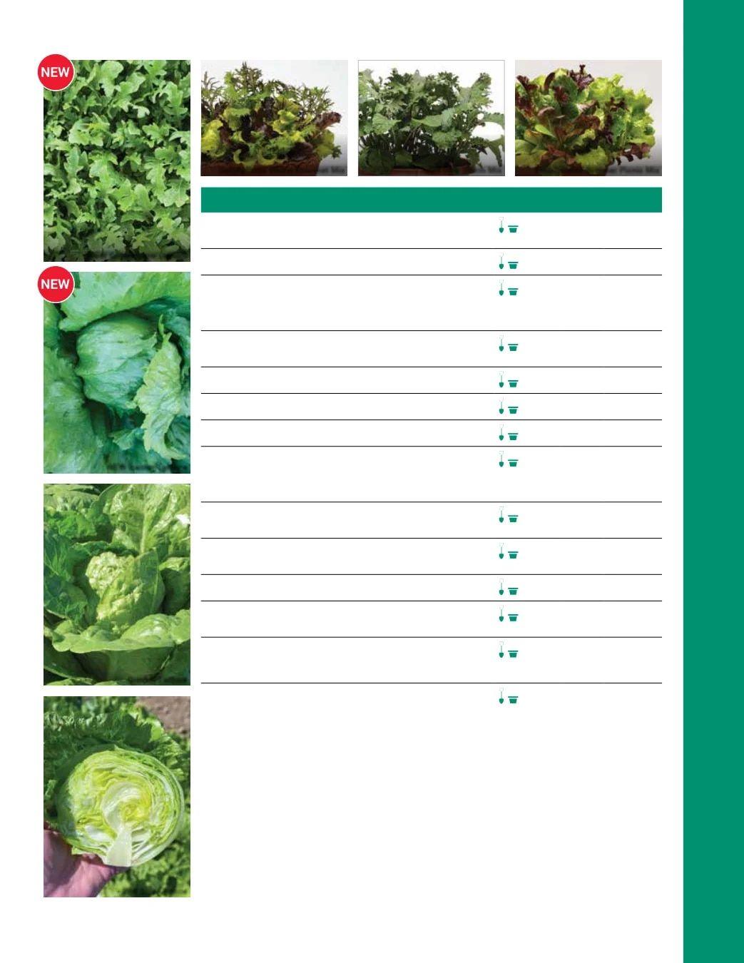 Ball Seed Seed and Plugs Catalog Weekly Ad August 31, 2026 - December 31, 2028