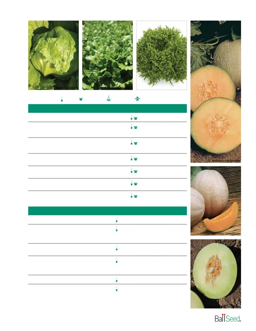 Ball Seed Seed and Plugs Catalog Weekly Ad August 31, 2026 - December 31, 2028