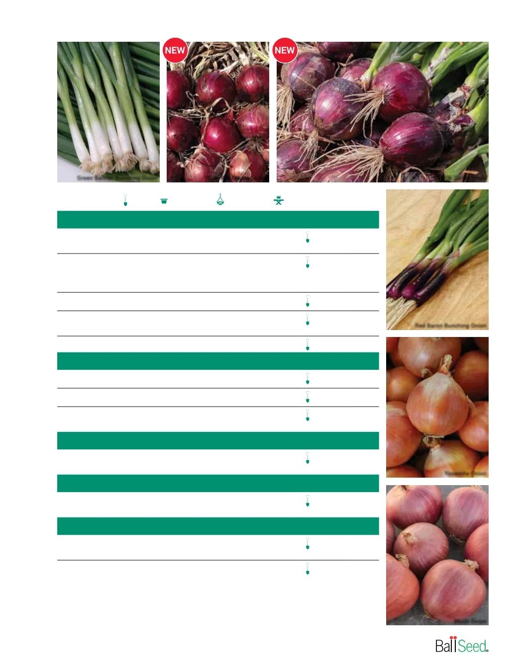 Ball Seed Seed and Plugs Catalog Weekly Ad August 31, 2026 - December 31, 2028