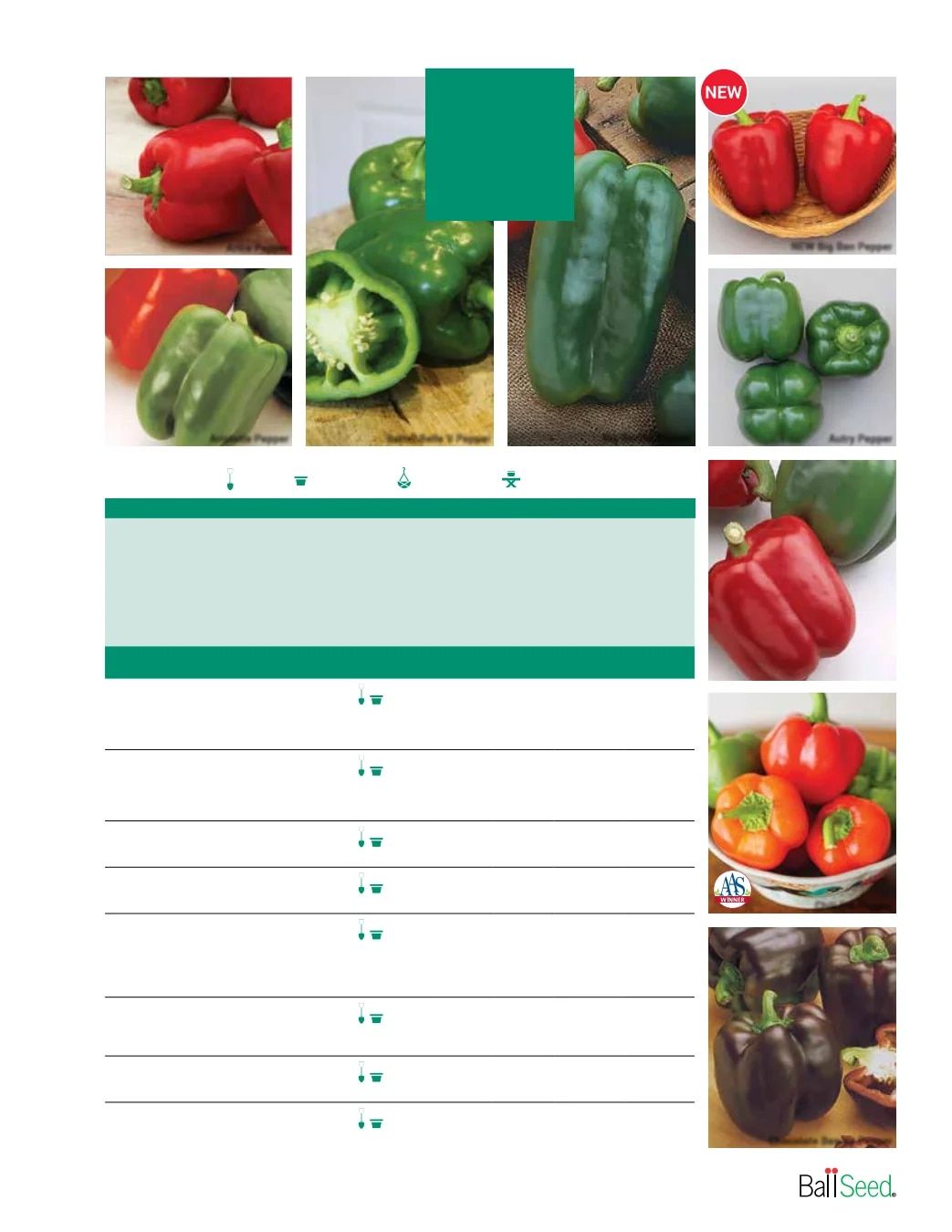 Ball Seed Seed and Plugs Catalog Weekly Ad August 31, 2026 - December 31, 2028