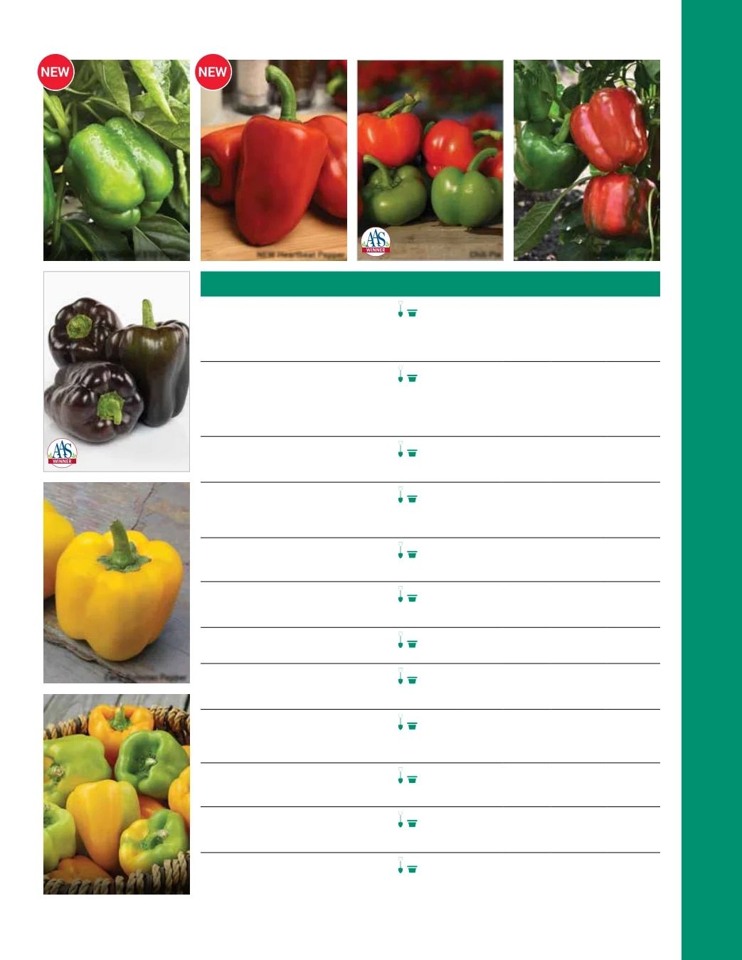 Ball Seed Seed and Plugs Catalog Weekly Ad August 31, 2026 - December 31, 2028