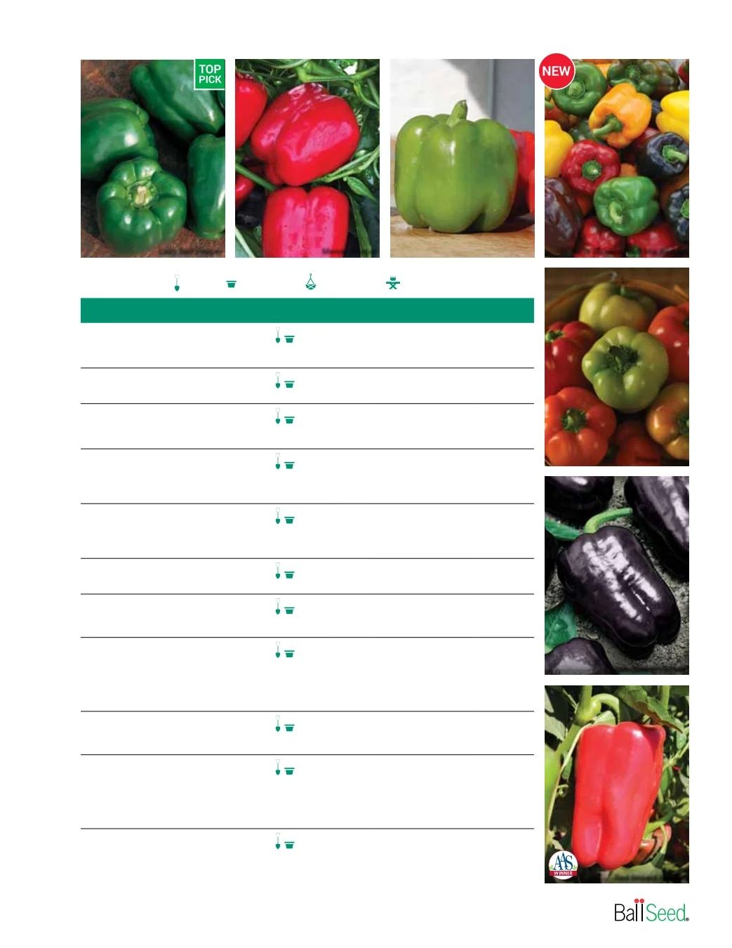 Ball Seed Seed and Plugs Catalog Weekly Ad August 31, 2026 - December 31, 2028