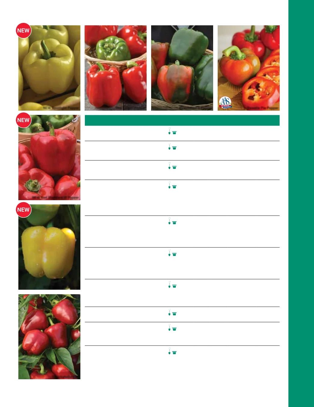 Ball Seed Seed and Plugs Catalog Weekly Ad August 31, 2026 - December 31, 2028