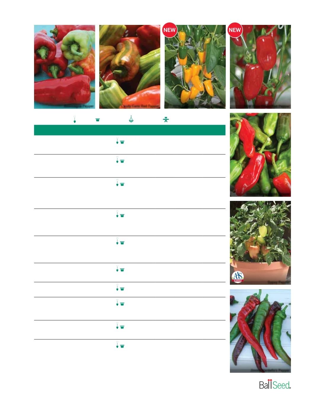 Ball Seed Seed and Plugs Catalog Weekly Ad August 31, 2026 - December 31, 2028