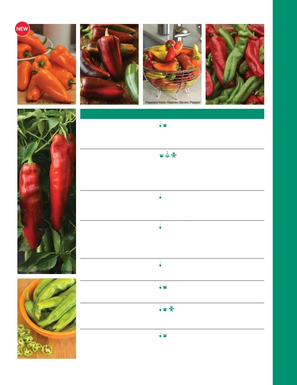 Ball Seed Seed and Plugs Catalog Weekly Ad August 31, 2026 - December 31, 2028