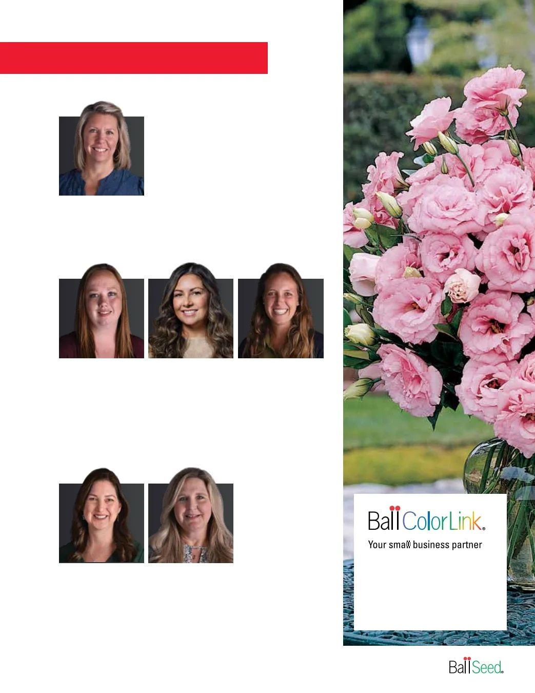 Ball Seed Seed and Plugs Catalog Weekly Ad August 31, 2026 - December 31, 2028