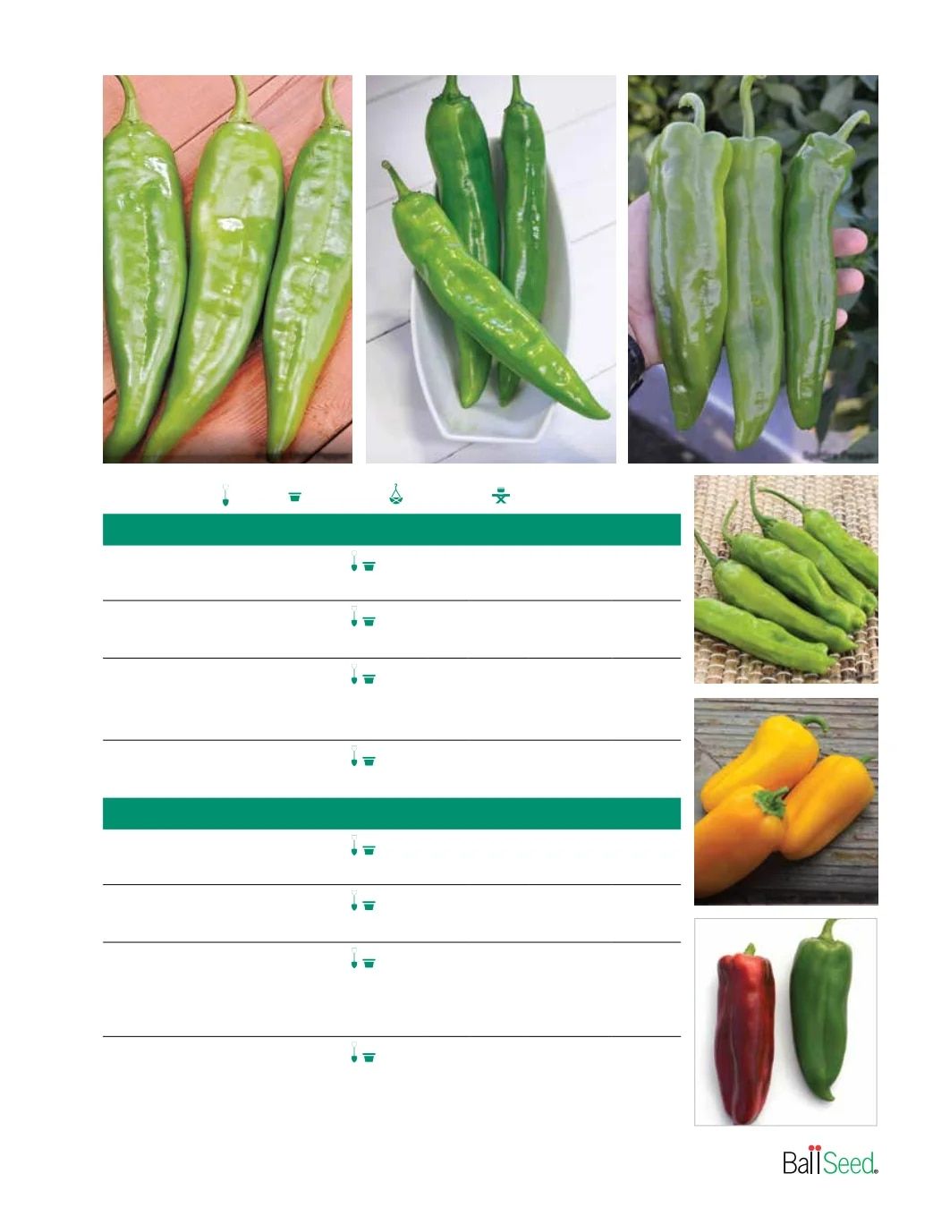 Ball Seed Seed and Plugs Catalog Weekly Ad August 31, 2026 - December 31, 2028