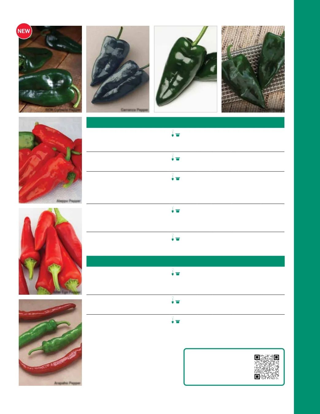 Ball Seed Seed and Plugs Catalog Weekly Ad August 31, 2026 - December 31, 2028
