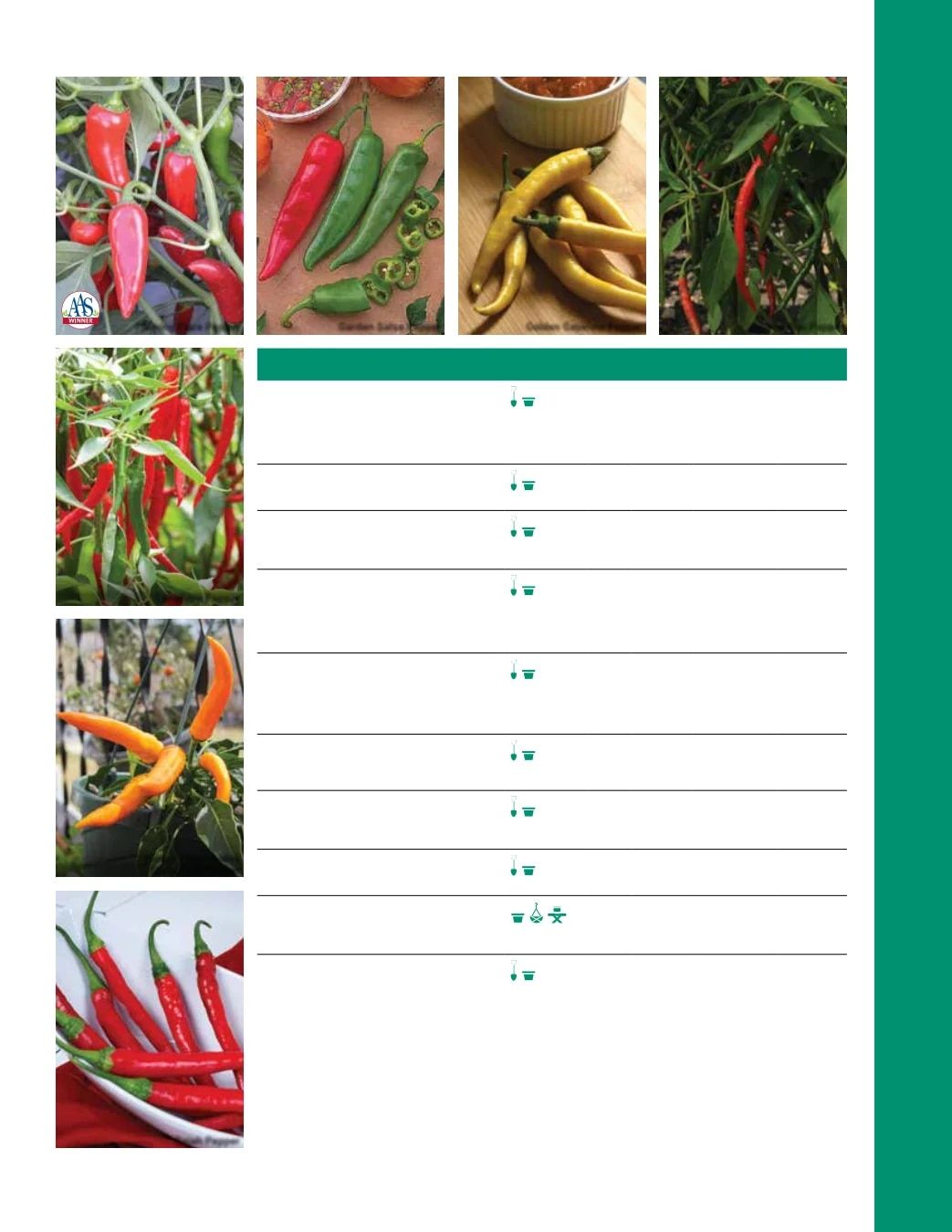 Ball Seed Seed and Plugs Catalog Weekly Ad August 31, 2026 - December 31, 2028