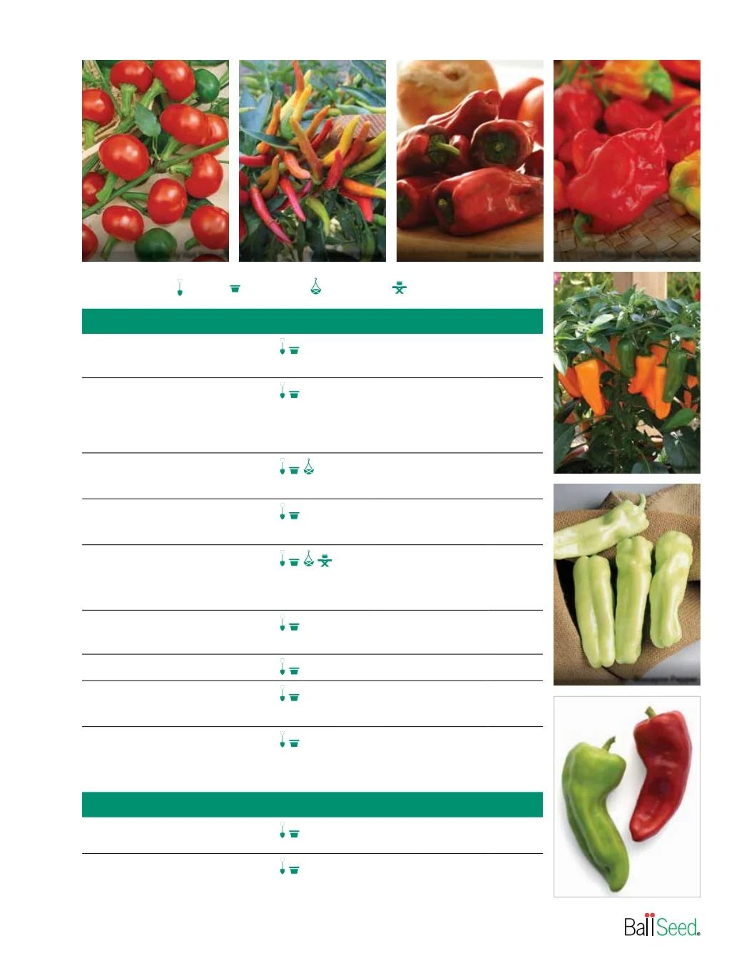Ball Seed Seed and Plugs Catalog Weekly Ad August 31, 2026 - December 31, 2028