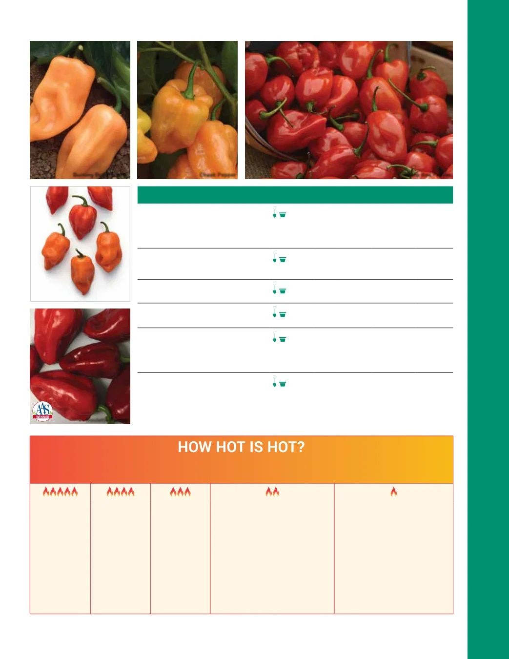 Ball Seed Seed and Plugs Catalog Weekly Ad August 31, 2026 - December 31, 2028