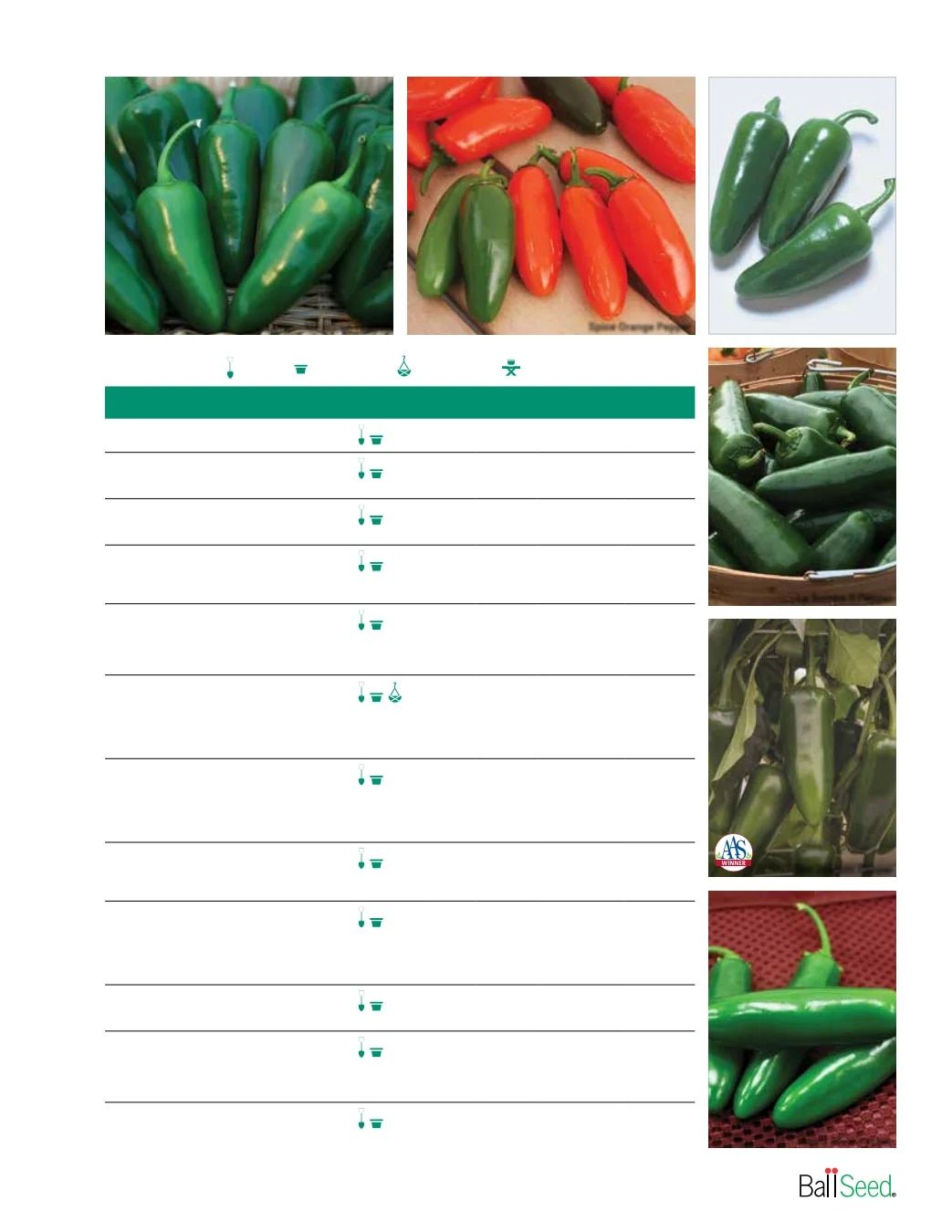 Ball Seed Seed and Plugs Catalog Weekly Ad August 31, 2026 - December 31, 2028