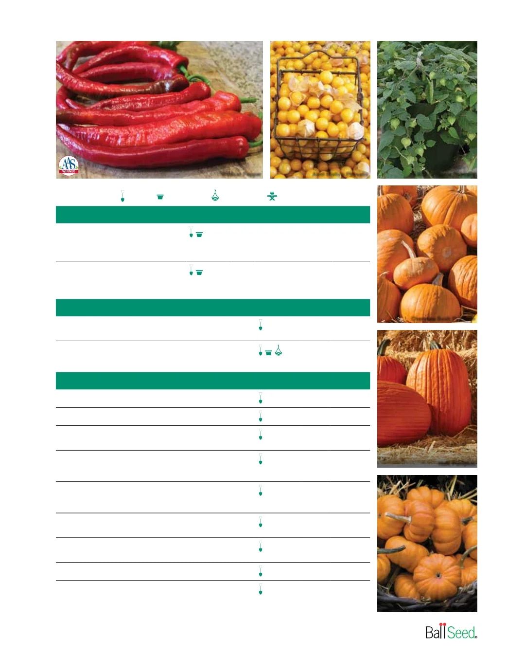 Ball Seed Seed and Plugs Catalog Weekly Ad August 31, 2026 - December 31, 2028