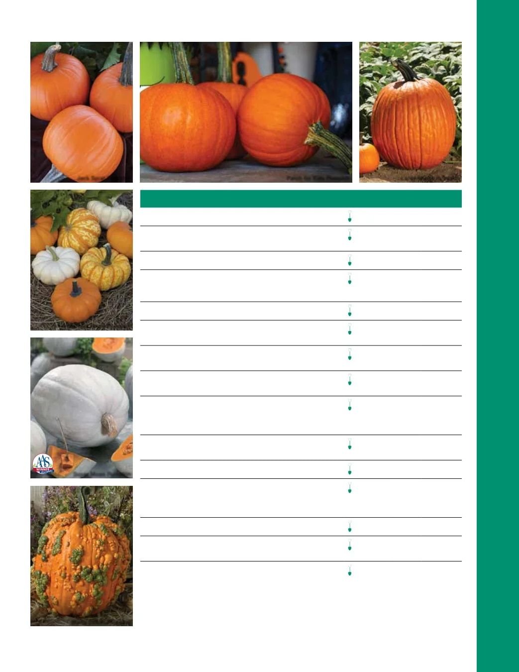 Ball Seed Seed and Plugs Catalog Weekly Ad August 31, 2026 - December 31, 2028