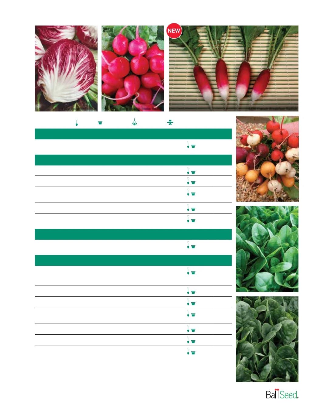 Ball Seed Seed and Plugs Catalog Weekly Ad August 31, 2026 - December 31, 2028