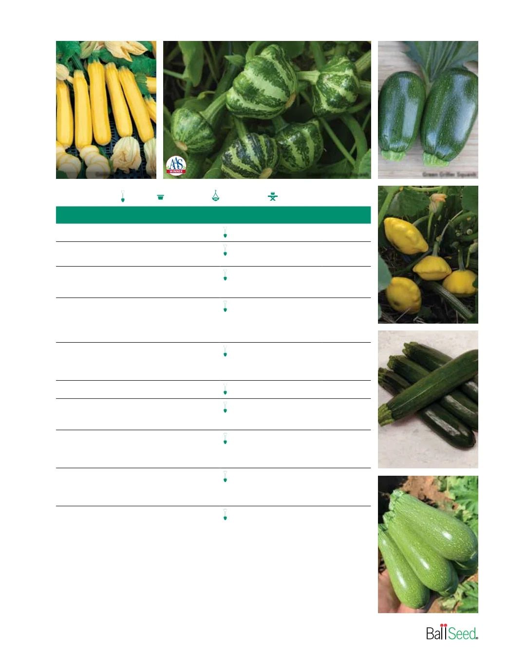 Ball Seed Seed and Plugs Catalog Weekly Ad August 31, 2026 - December 31, 2028