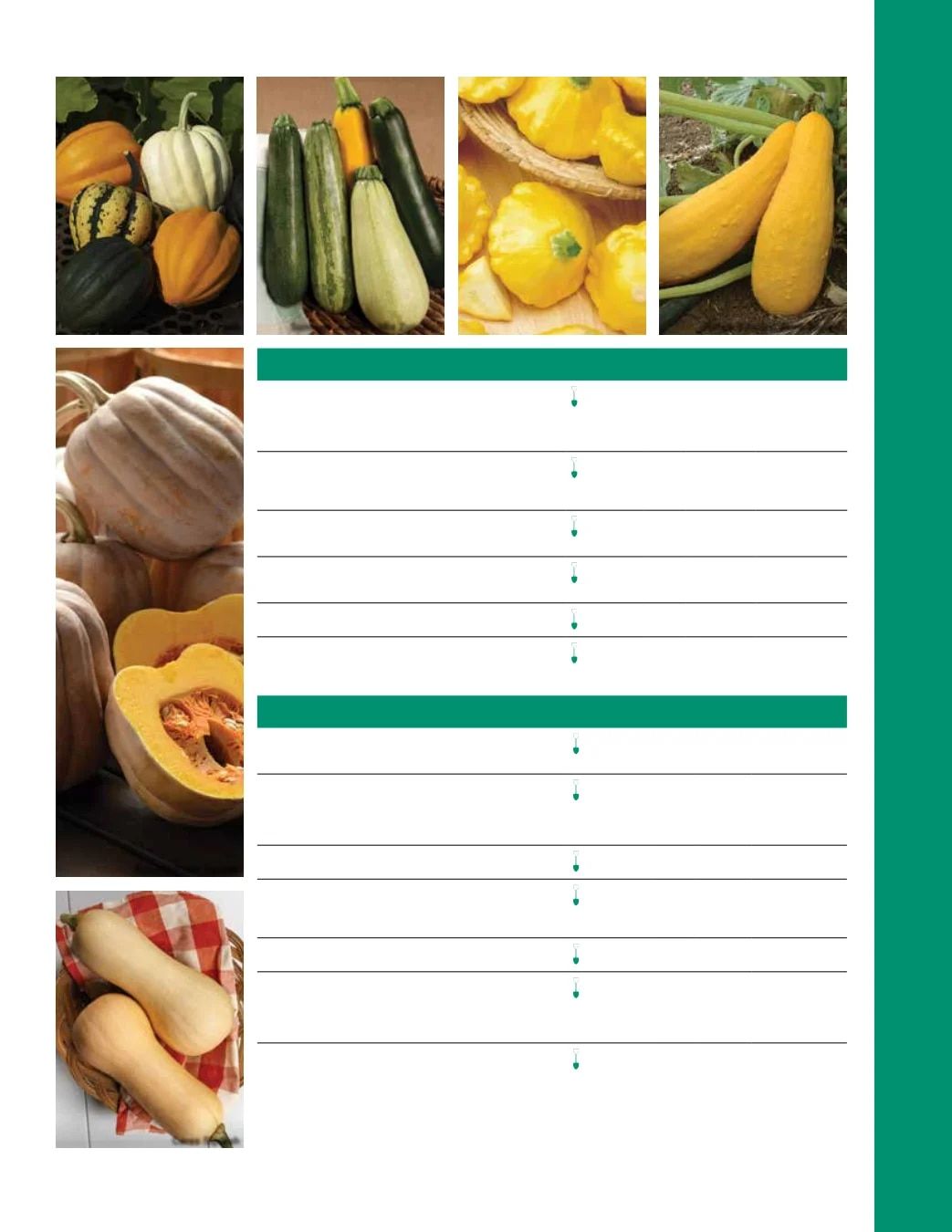 Ball Seed Seed and Plugs Catalog Weekly Ad August 31, 2026 - December 31, 2028