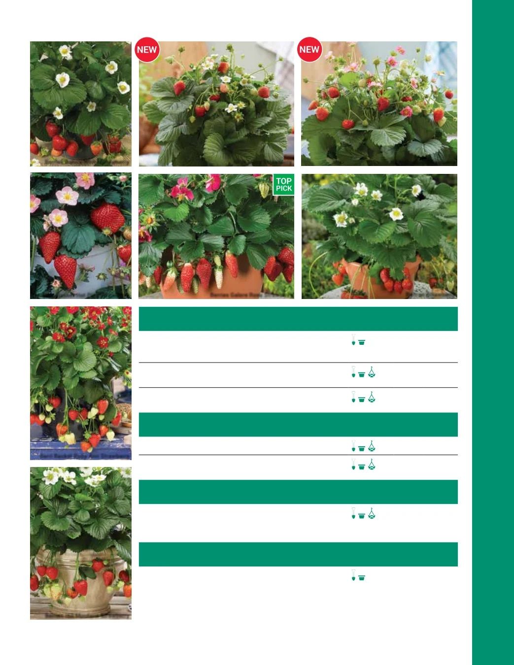 Ball Seed Seed and Plugs Catalog Weekly Ad August 31, 2026 - December 31, 2028