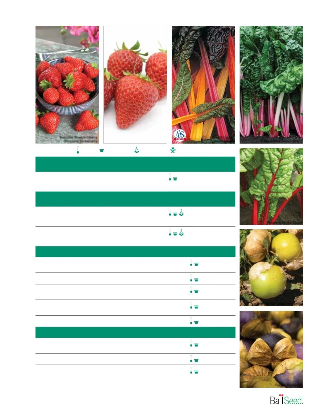 Ball Seed Seed and Plugs Catalog Weekly Ad August 31, 2026 - December 31, 2028