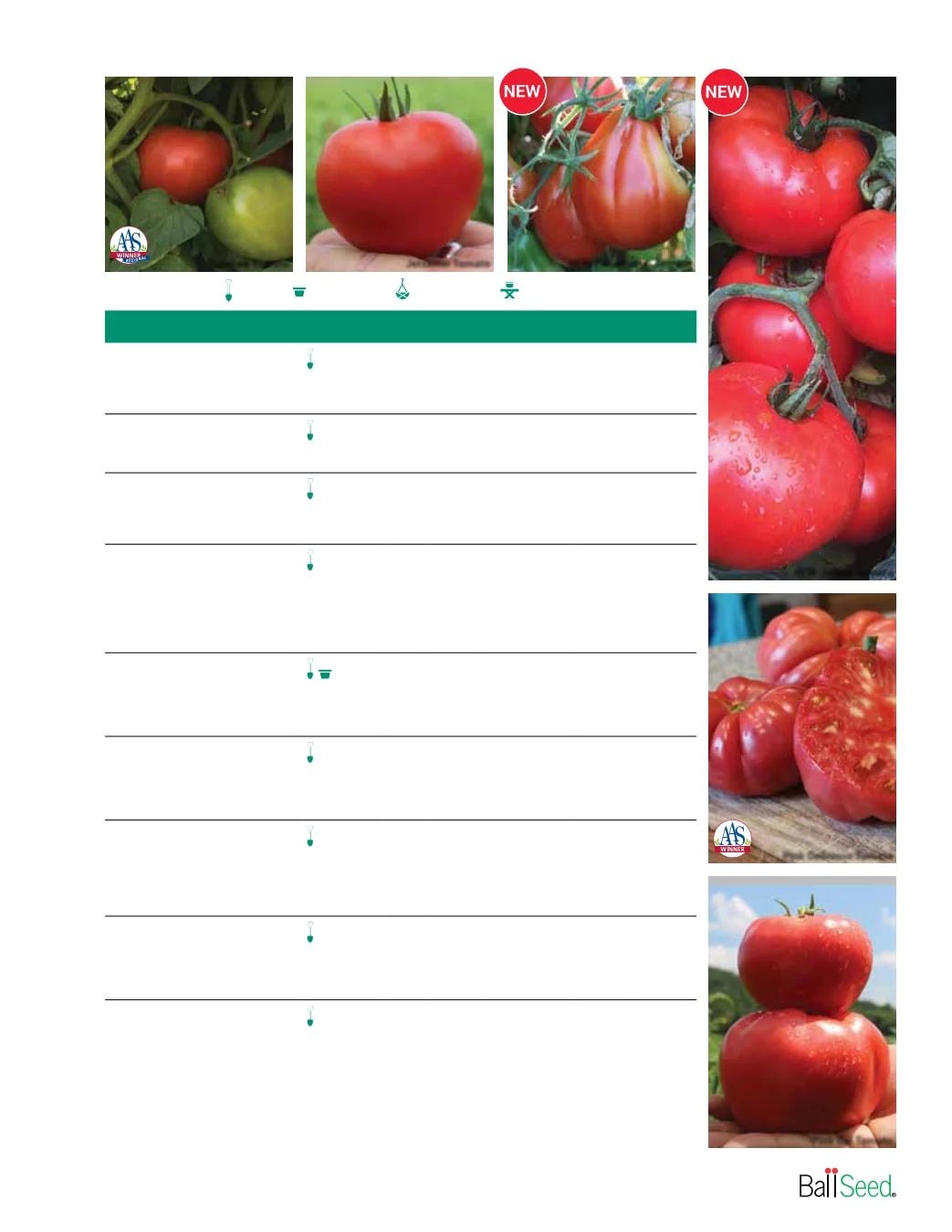 Ball Seed Seed and Plugs Catalog Weekly Ad August 31, 2026 - December 31, 2028