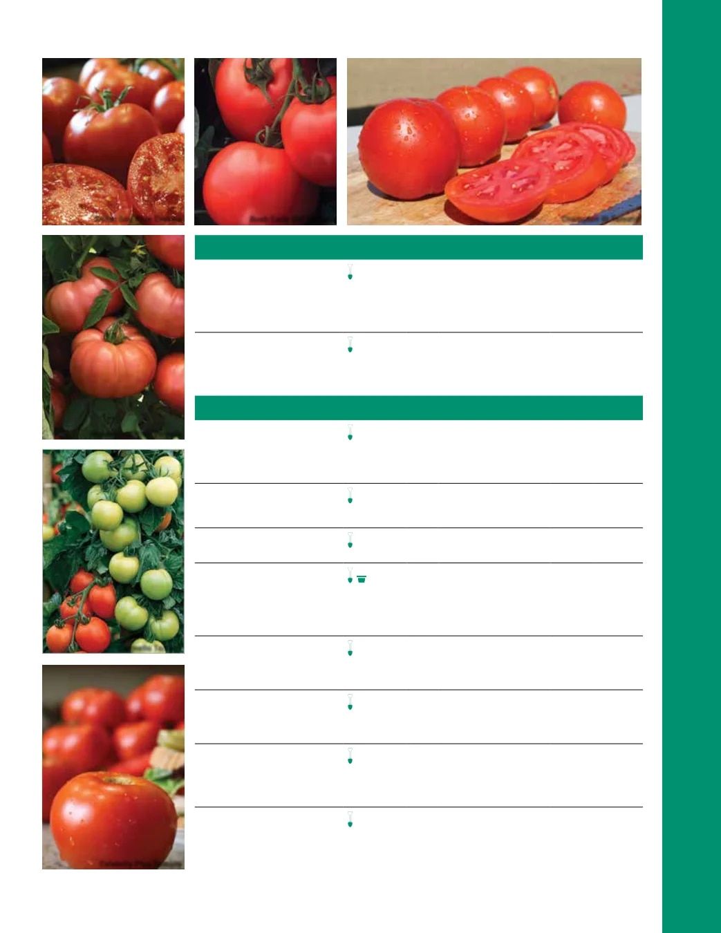 Ball Seed Seed and Plugs Catalog Weekly Ad August 31, 2026 - December 31, 2028