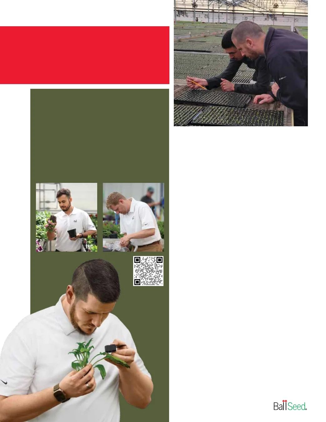 Ball Seed Seed and Plugs Catalog Weekly Ad August 31, 2026 - December 31, 2028