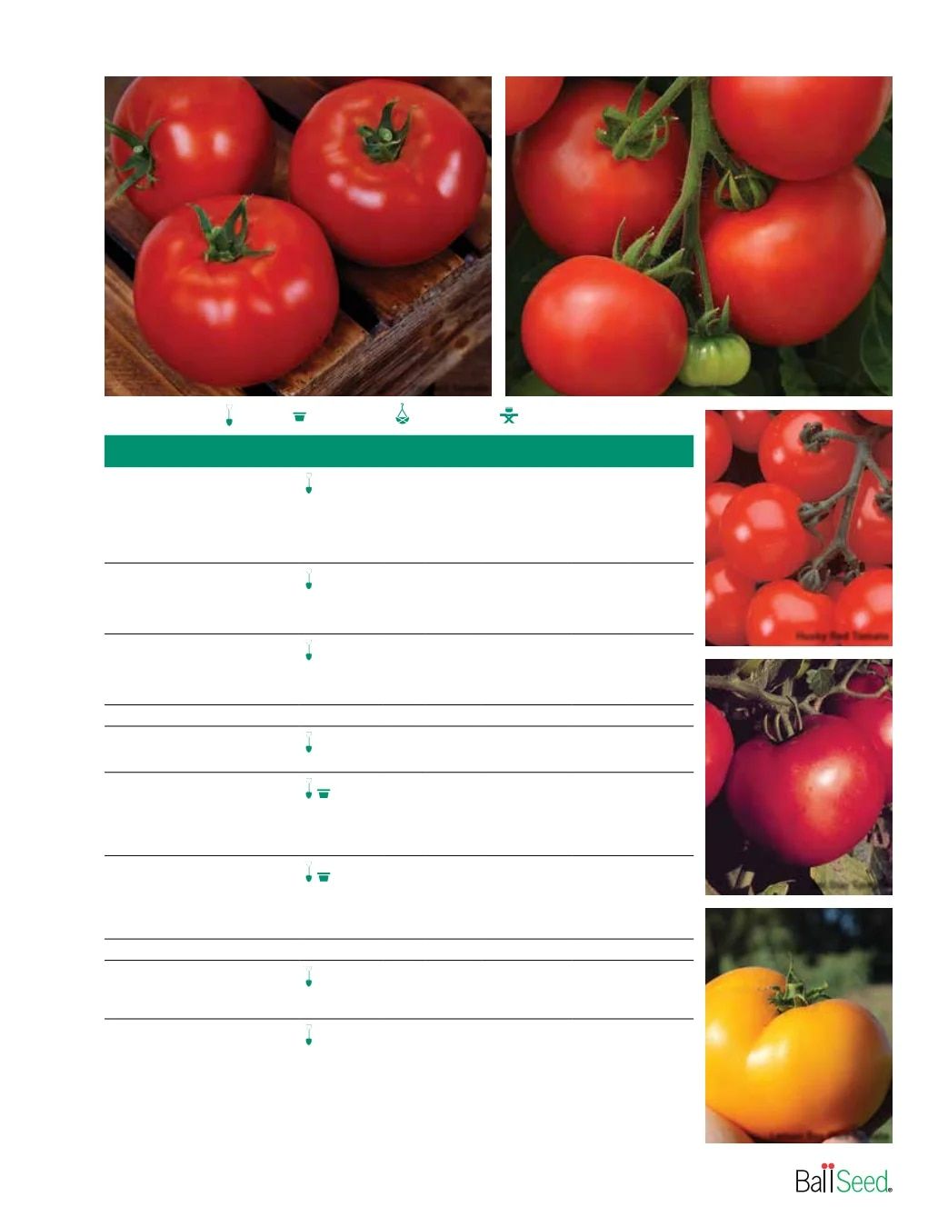 Ball Seed Seed and Plugs Catalog Weekly Ad August 31, 2026 - December 31, 2028