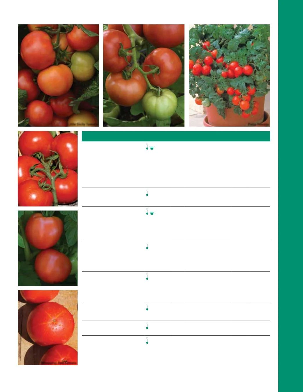 Ball Seed Seed and Plugs Catalog Weekly Ad August 31, 2026 - December 31, 2028