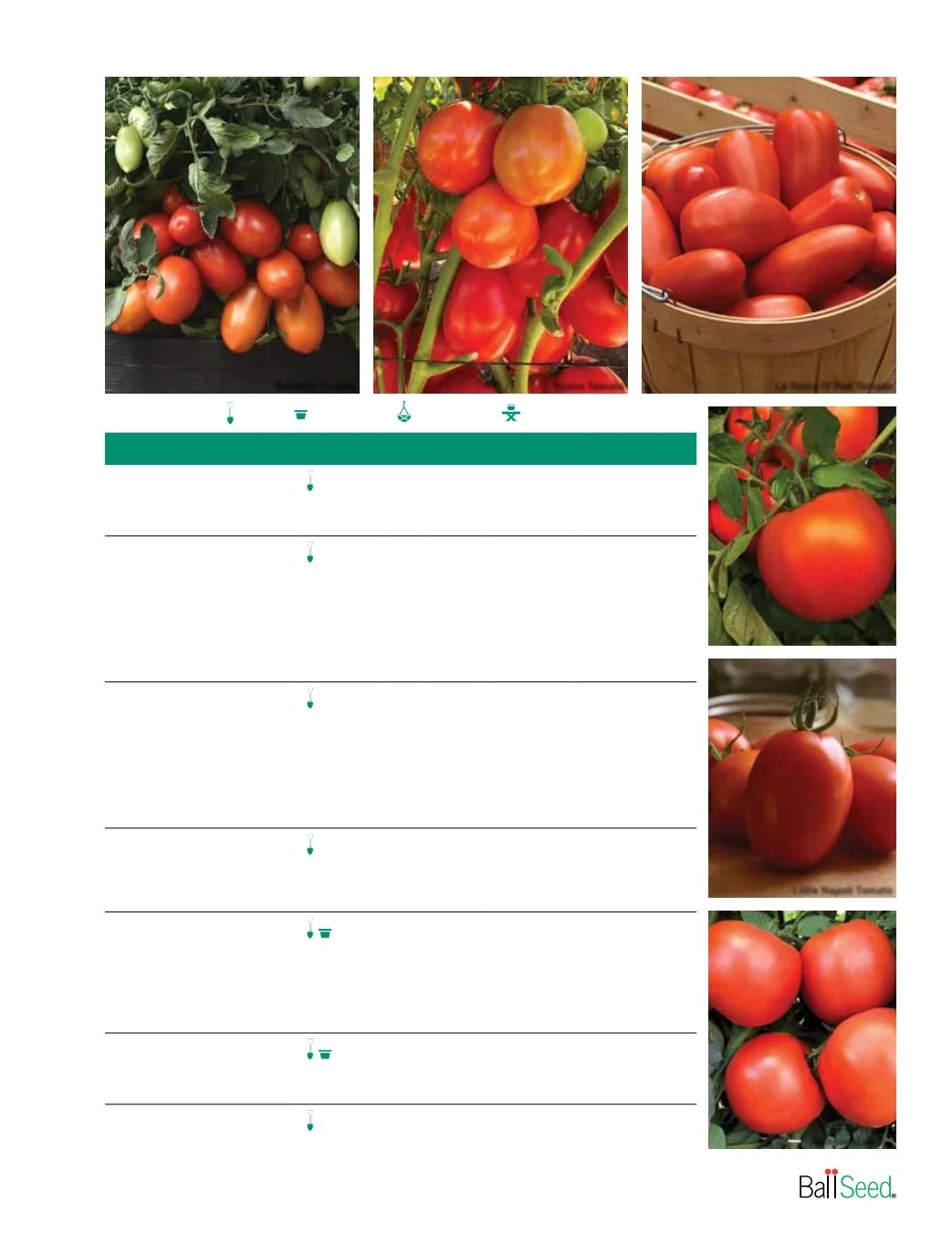 Ball Seed Seed and Plugs Catalog Weekly Ad August 31, 2026 - December 31, 2028