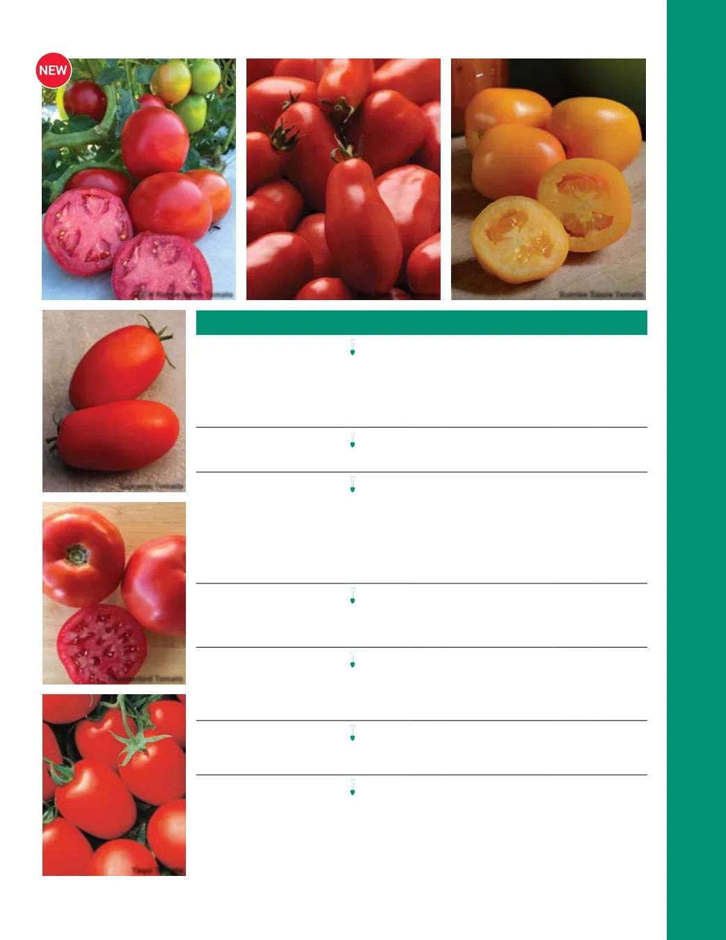 Ball Seed Seed and Plugs Catalog Weekly Ad August 31, 2026 - December 31, 2028