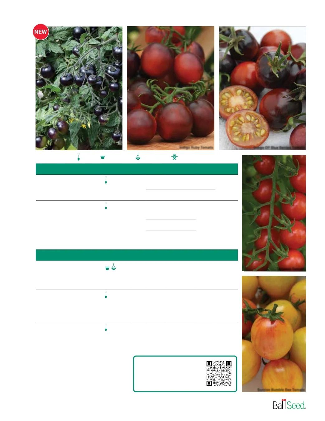 Ball Seed Seed and Plugs Catalog Weekly Ad August 31, 2026 - December 31, 2028