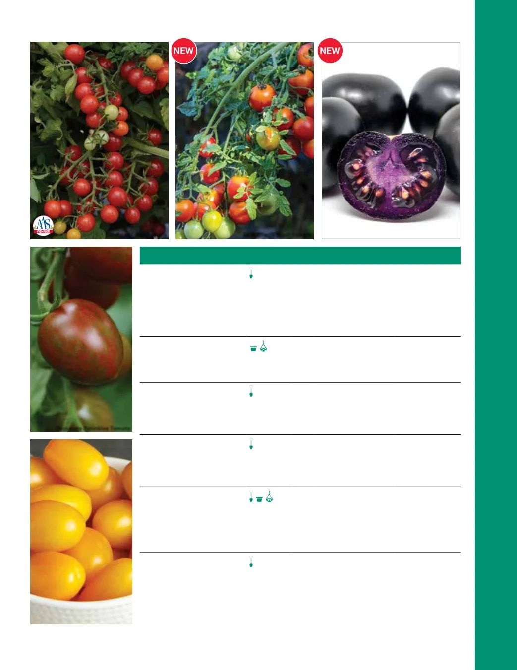 Ball Seed Seed and Plugs Catalog Weekly Ad August 31, 2026 - December 31, 2028