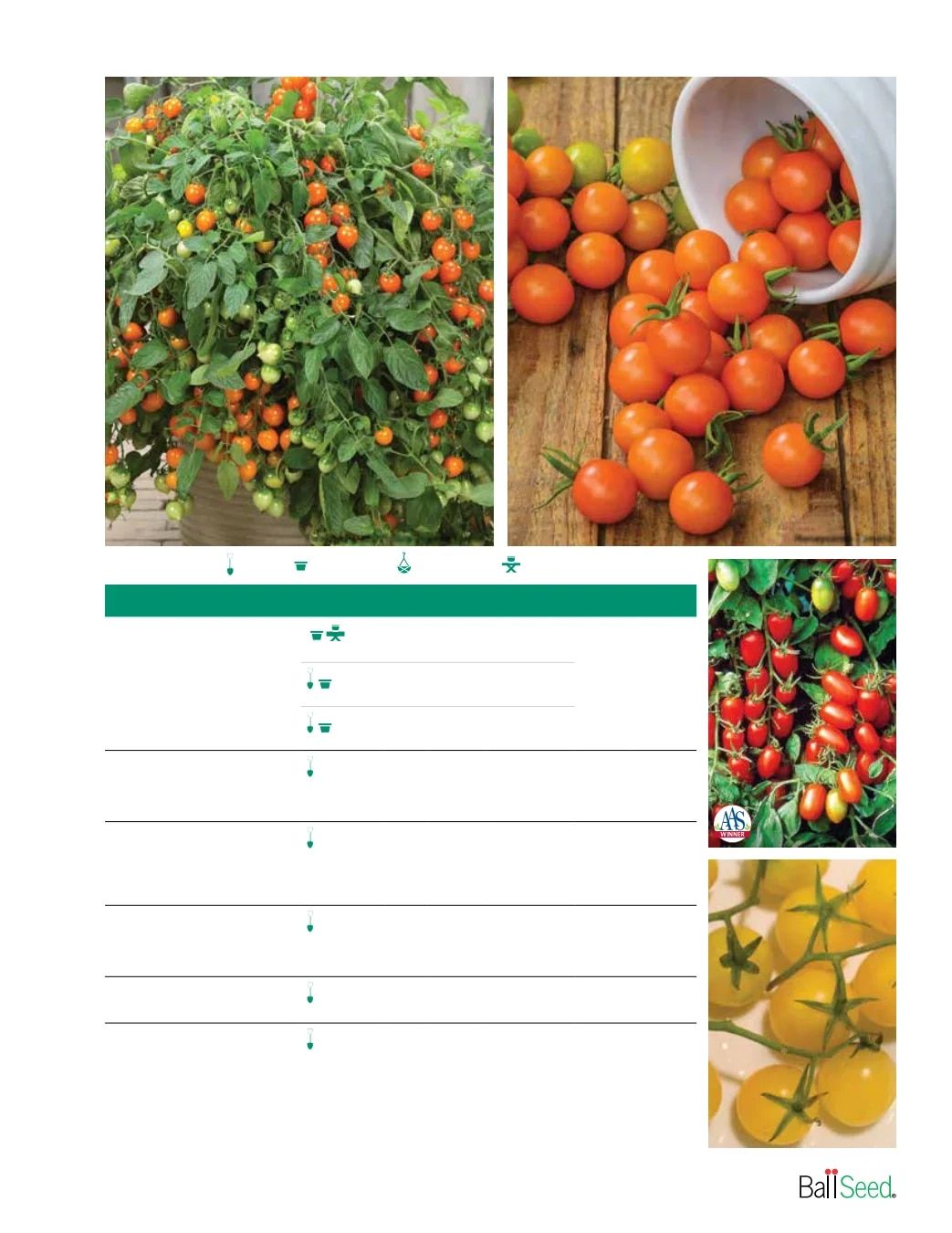 Ball Seed Seed and Plugs Catalog Weekly Ad August 31, 2026 - December 31, 2028