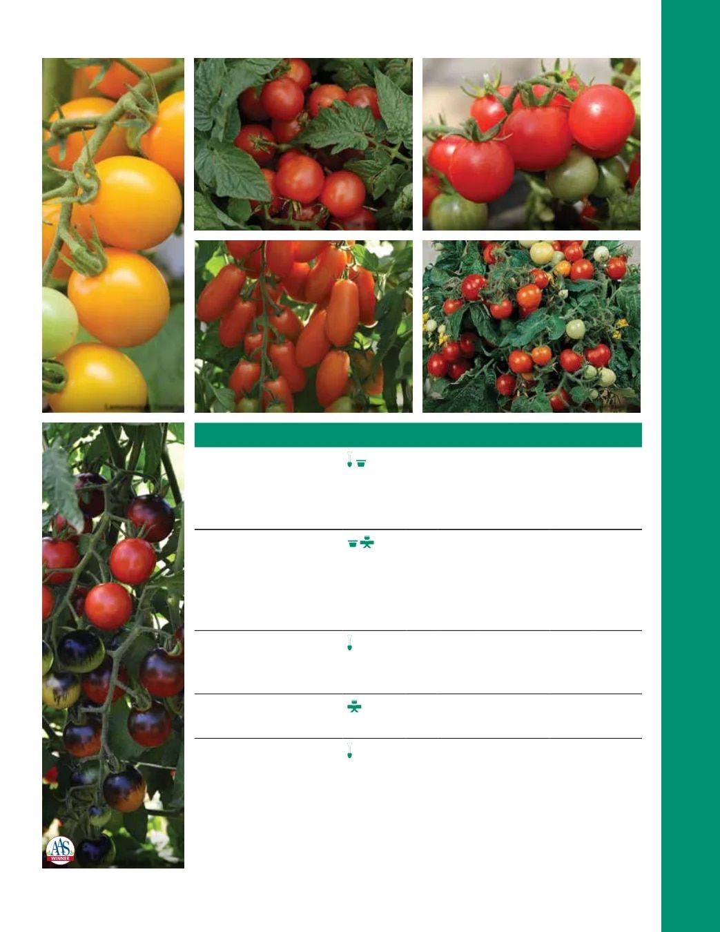 Ball Seed Seed and Plugs Catalog Weekly Ad August 31, 2026 - December 31, 2028