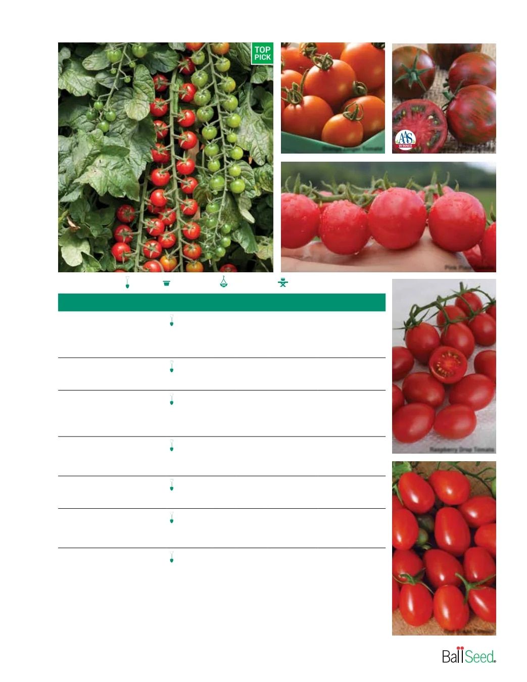 Ball Seed Seed and Plugs Catalog Weekly Ad August 31, 2026 - December 31, 2028