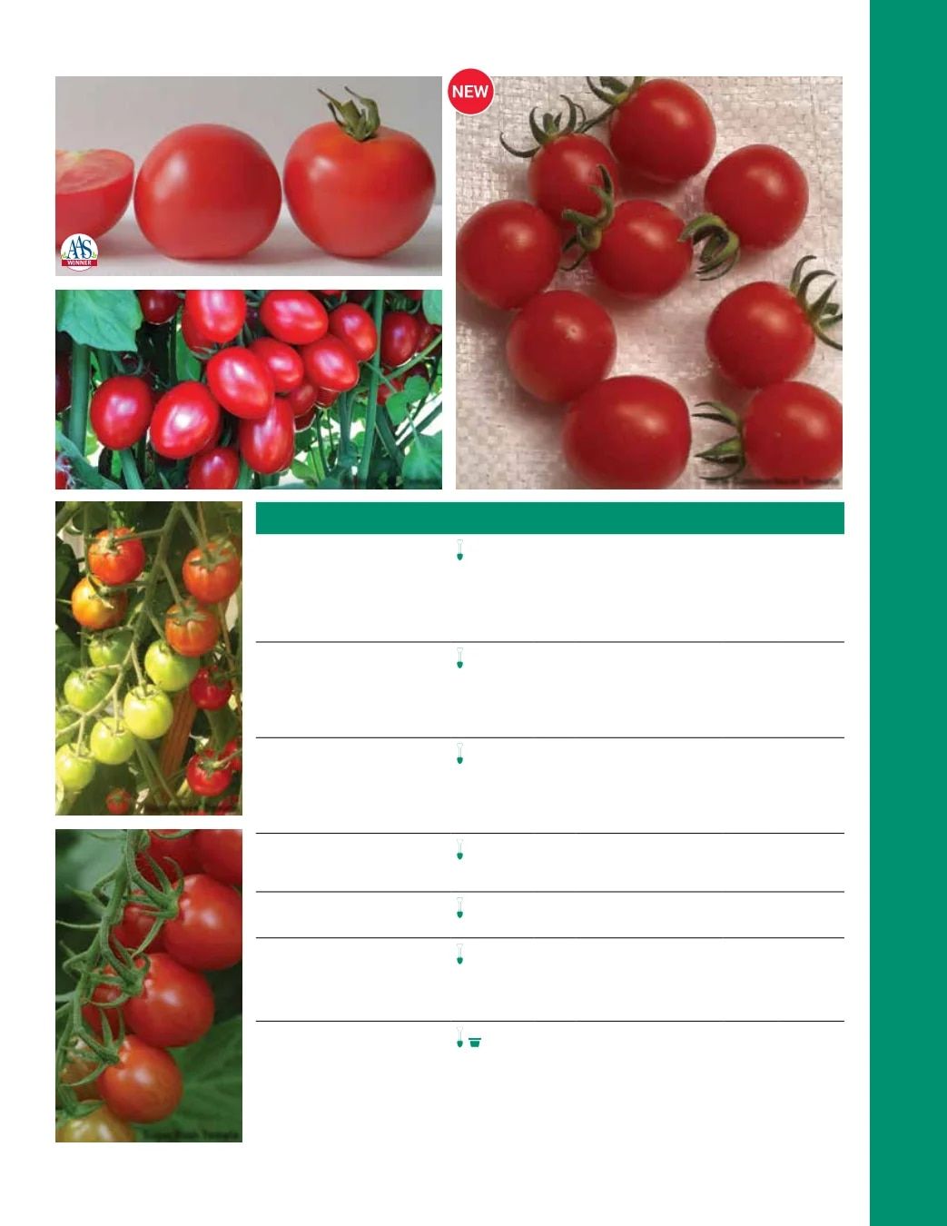 Ball Seed Seed and Plugs Catalog Weekly Ad August 31, 2026 - December 31, 2028