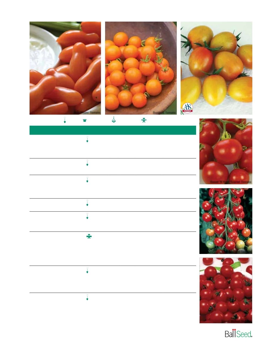 Ball Seed Seed and Plugs Catalog Weekly Ad August 31, 2026 - December 31, 2028