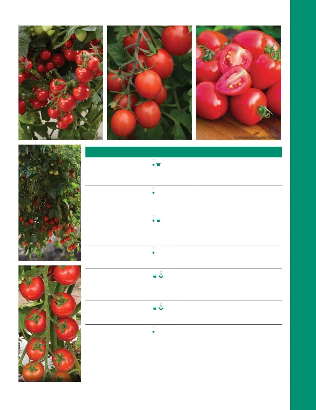 Ball Seed Seed and Plugs Catalog Weekly Ad August 31, 2026 - December 31, 2028