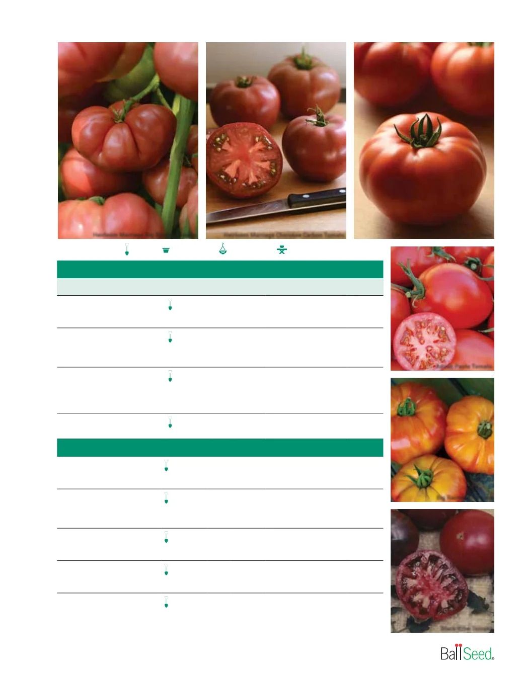 Ball Seed Seed and Plugs Catalog Weekly Ad August 31, 2026 - December 31, 2028