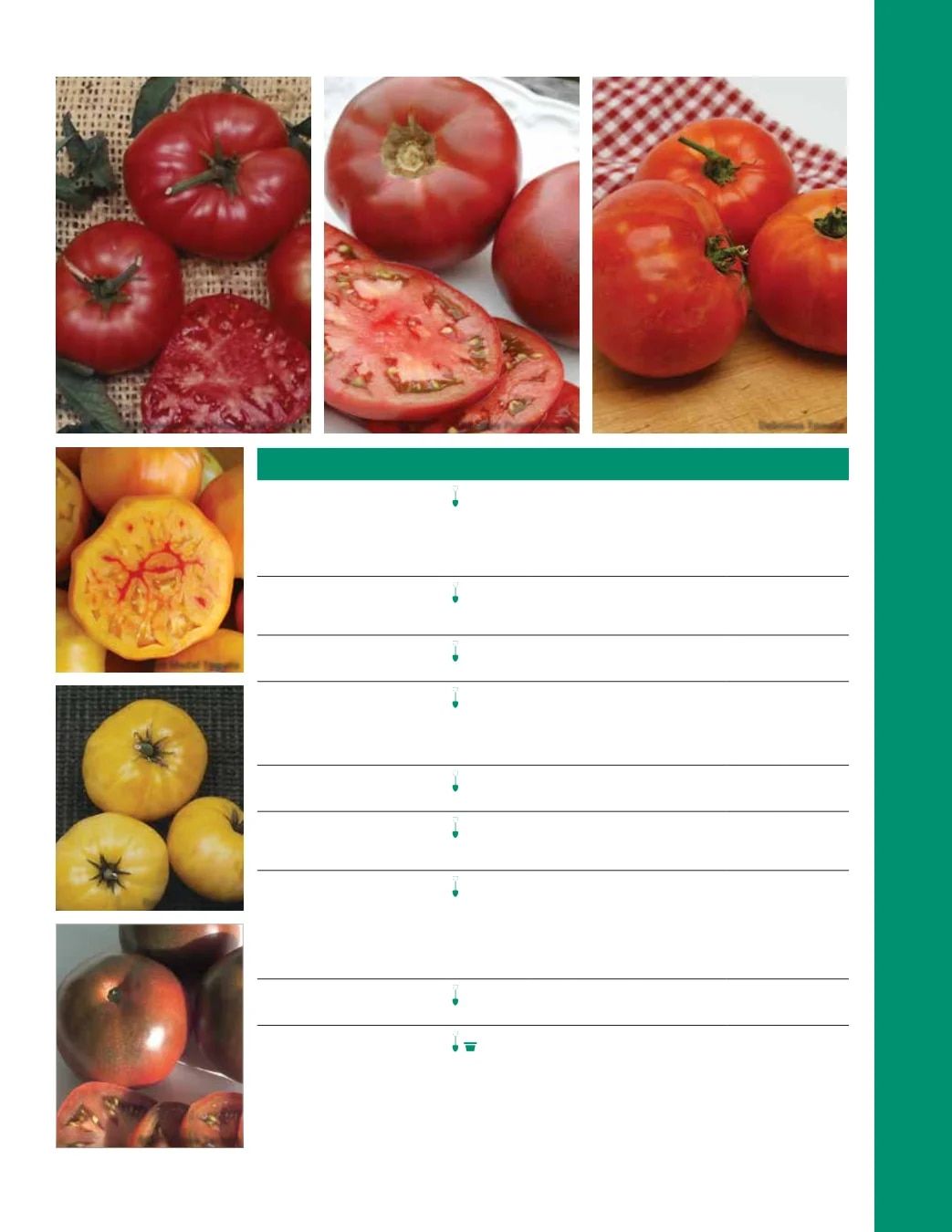 Ball Seed Seed and Plugs Catalog Weekly Ad August 31, 2026 - December 31, 2028