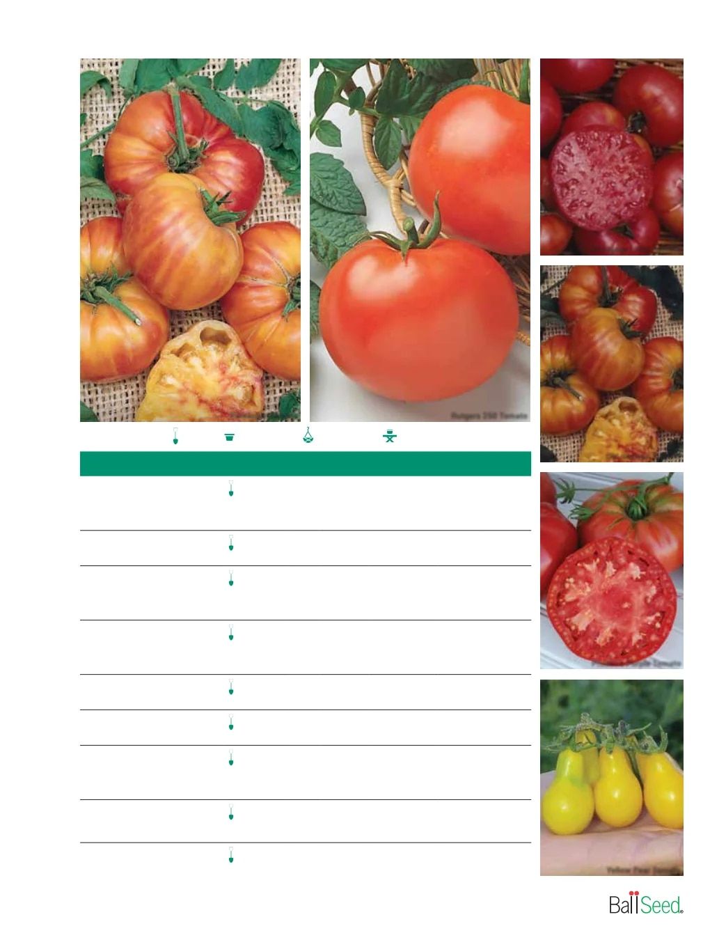 Ball Seed Seed and Plugs Catalog Weekly Ad August 31, 2026 - December 31, 2028
