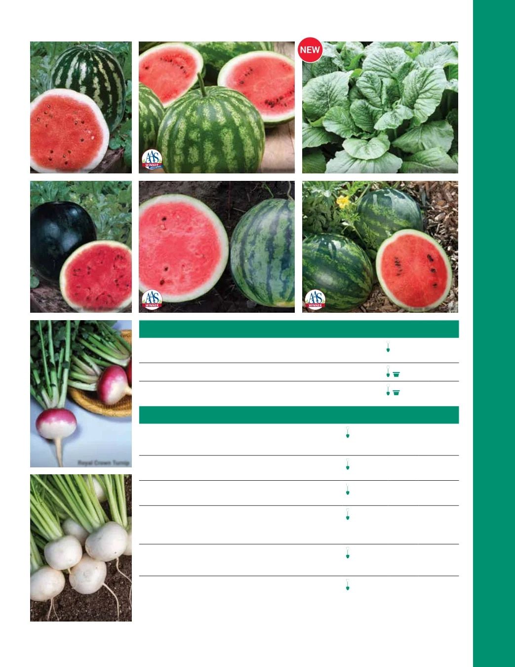 Ball Seed Seed and Plugs Catalog Weekly Ad August 31, 2026 - December 31, 2028