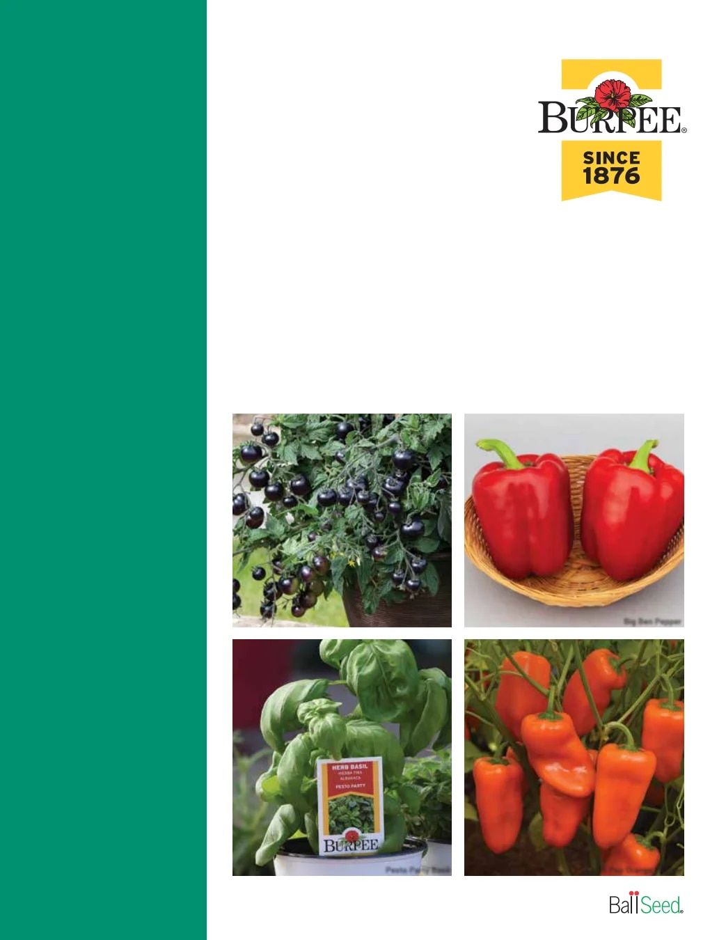Ball Seed Seed and Plugs Catalog Weekly Ad August 31, 2026 - December 31, 2028